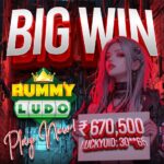 Rummy Ludo 19